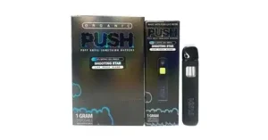 Push Vapes: full-glass disposable vape pen with bold live resin flavor, heavy metal-free, sleek design, ready to use